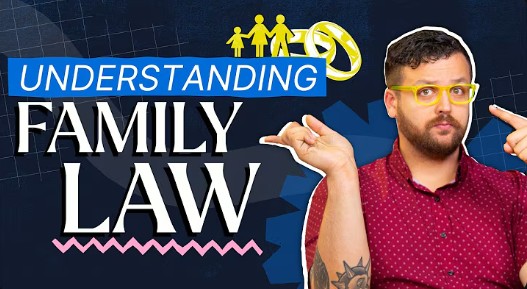 Understanding family law video thumbnail with presenter | Hemmat Law Group